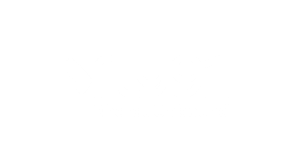 FLY91
